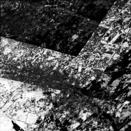 BONE25 Performancefestival
